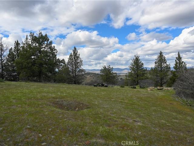 Land for sale in Montague, California