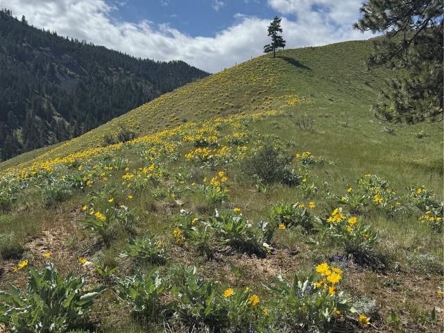 Land for sale in Wenatchee, Washington
