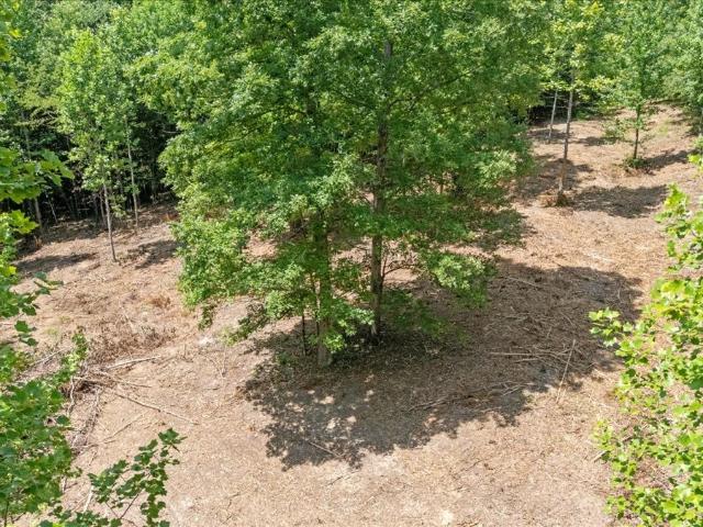 Land for sale in Tennessee