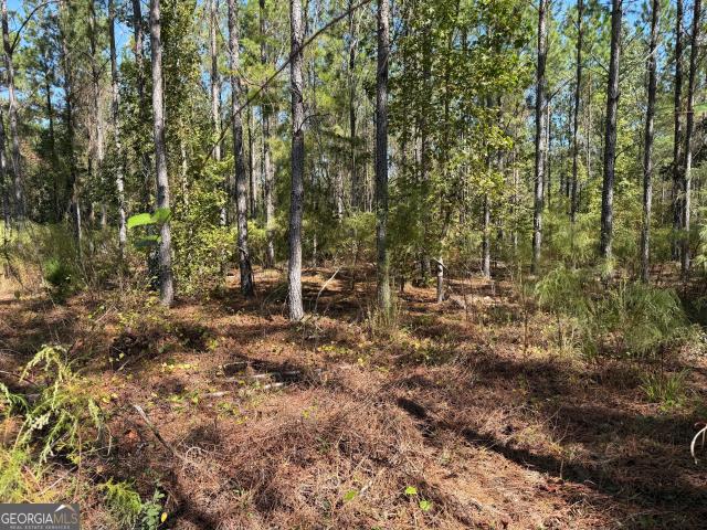 Land for sale in Grady, Georgia