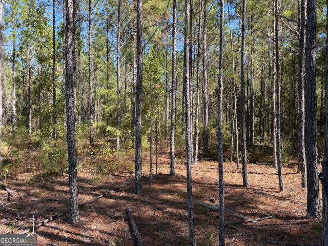 Land for sale in Grady, Georgia