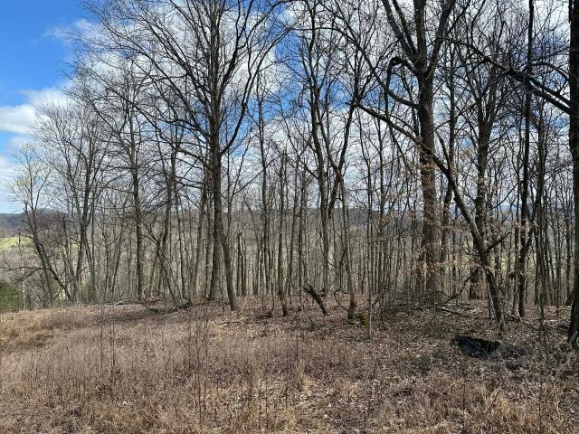 Land for sale in Tennessee