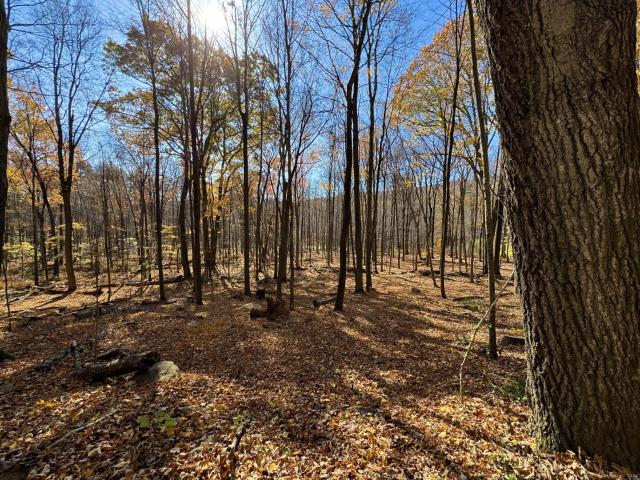 Land for sale in Kent, Connecticut
