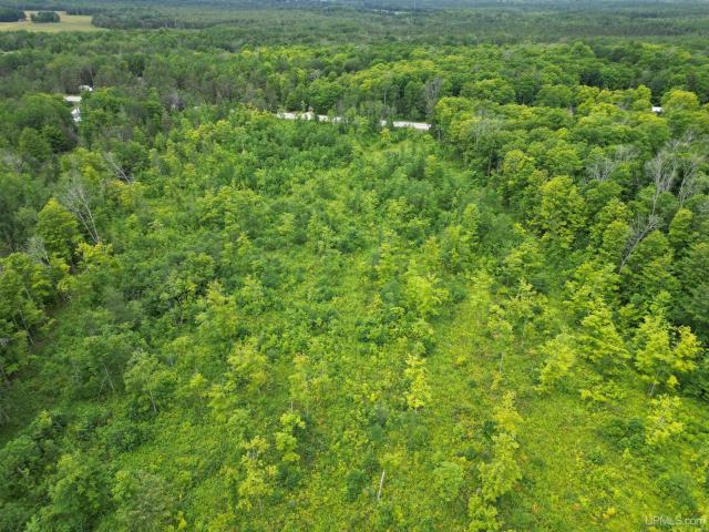 Land for sale in Gulliver, Michigan