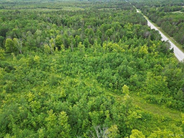 Land for sale in Gulliver, Michigan