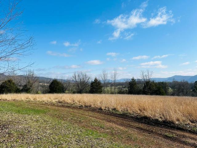 Land for sale in Ninemile, Pikeville