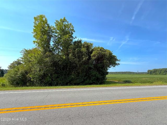 Land for sale in Belhaven, North Carolina