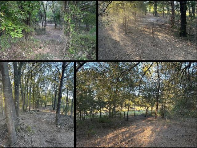 Land for sale in Lamar, Texas