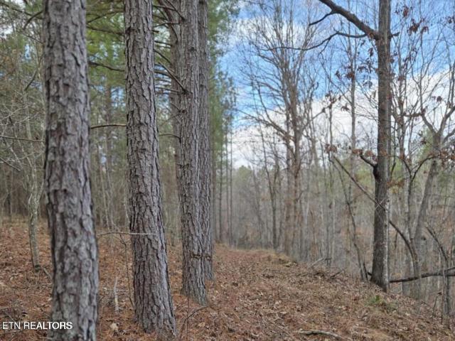 Land for sale in Tennessee