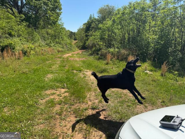 Land for sale in Oconee, Georgia