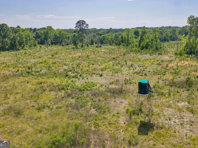 Land for sale in Worth, Georgia