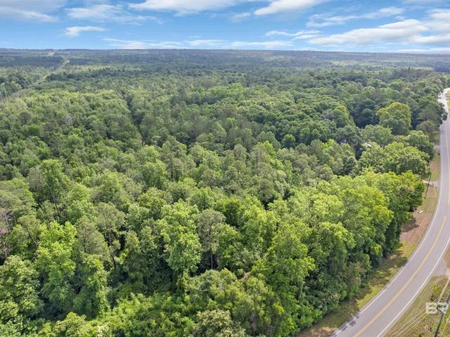 Land for sale in Flomaton, Alabama
