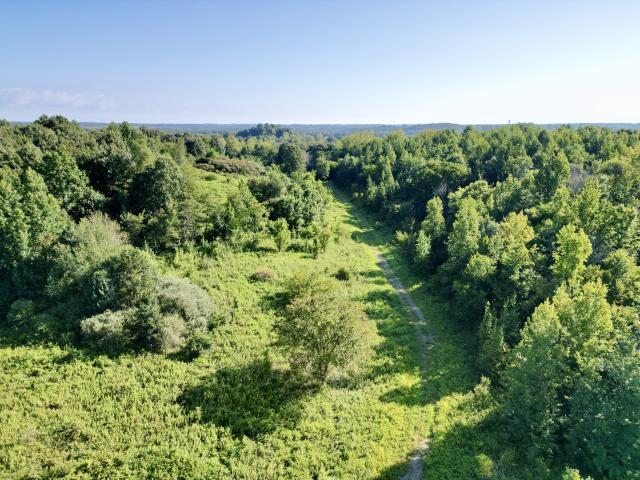 Land for sale in Martwick, Central City