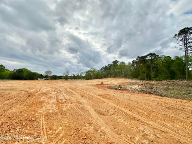Land for sale in Magee, Mississippi