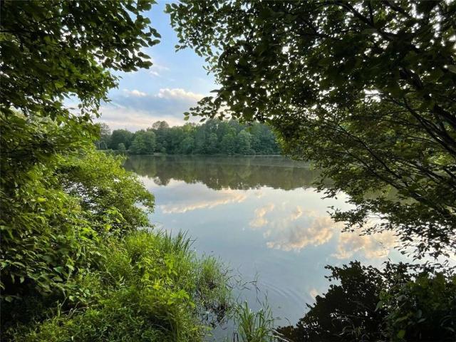 Land for sale in Haralson, Georgia
