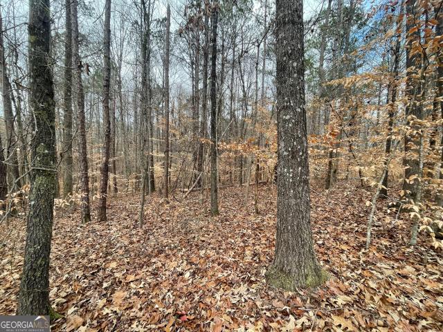 Land for sale in Franklin, Georgia