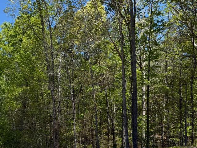 Land for sale in Haralson, Georgia