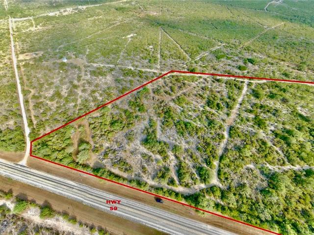 Land for sale in Freer, Duval County