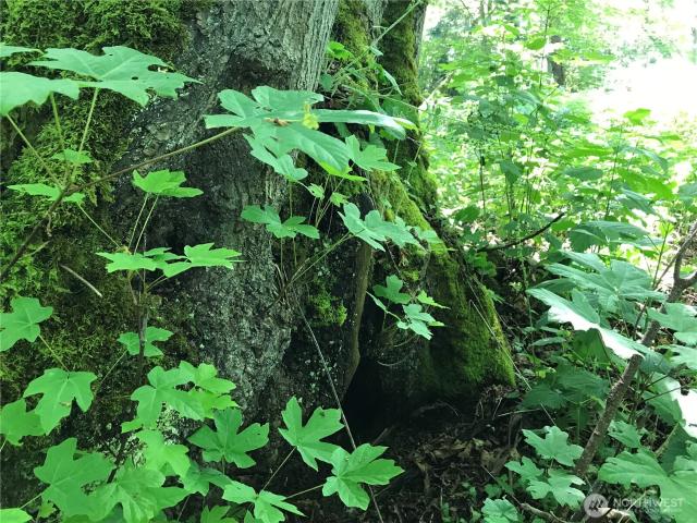 Land for sale in Everett, Snohomish County