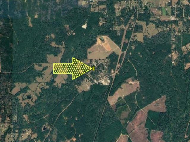Land for sale in Polk, Texas