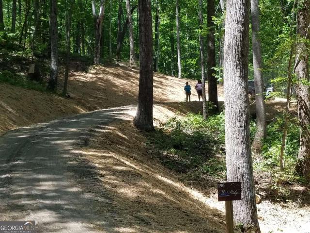 Land for sale in Blairsville, Georgia