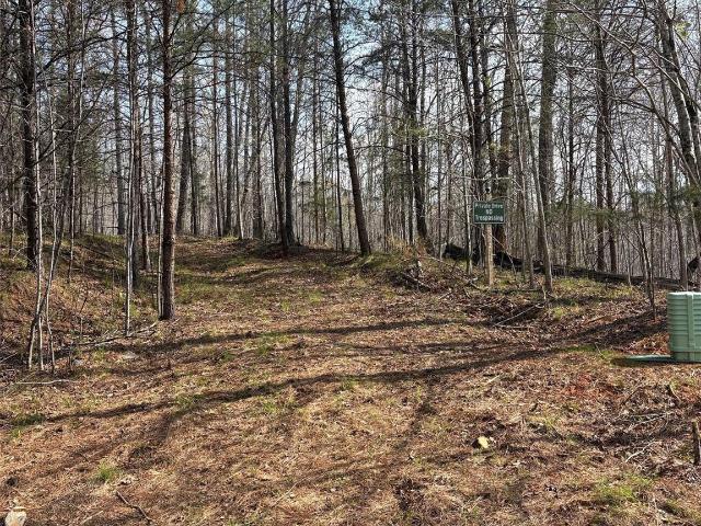 Land for sale in Rutherfordton, North Carolina