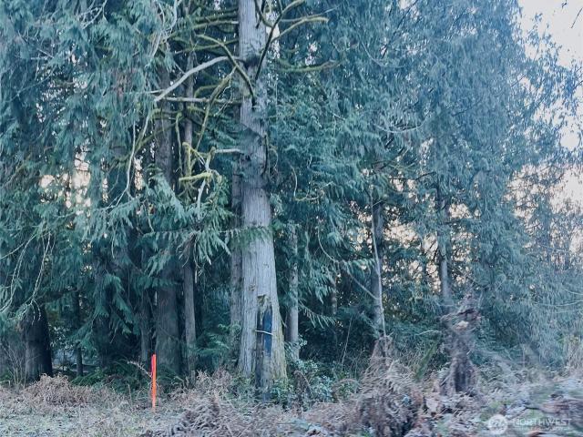 Land for sale in Chehalis, Washington