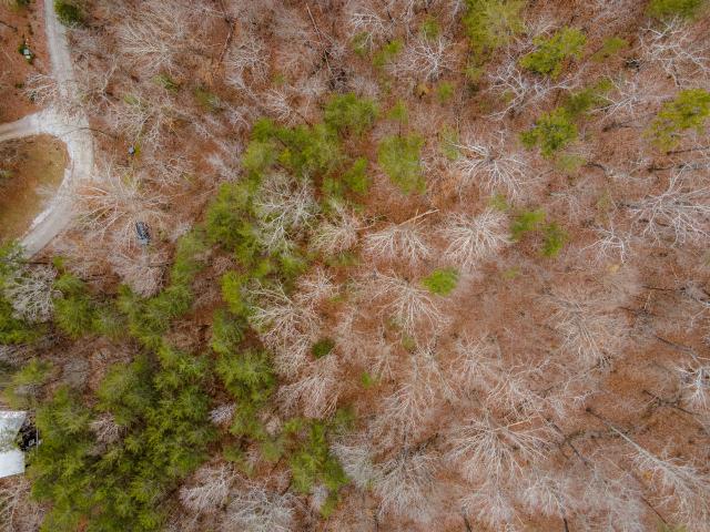 Land for sale in Chickamauga, Walker County