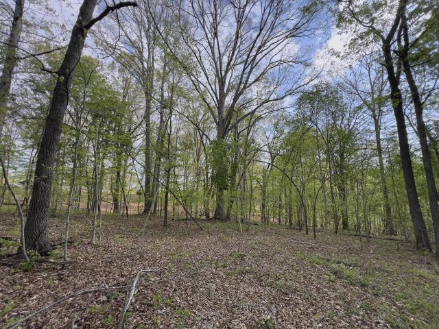 Land for sale in Tennessee