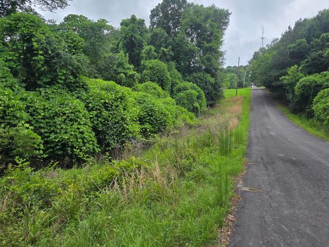 Land for sale in Georgia