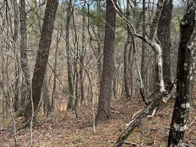 Land for sale in Virginia