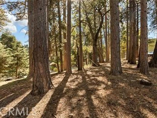 Land for sale in Green Valley Lake, California