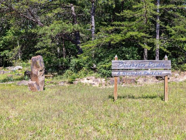 Land for sale in Altamont, Middle Tennessee