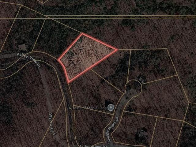 Land for sale in Pickens, Georgia