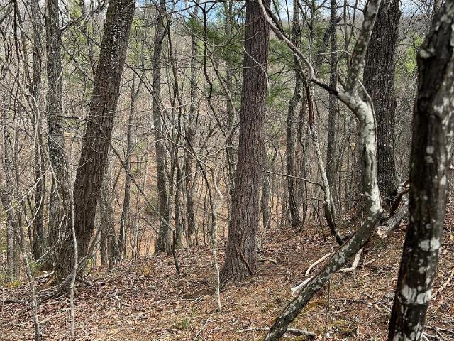 Land for sale in Virginia