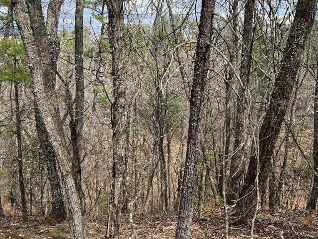 Land for sale in Virginia