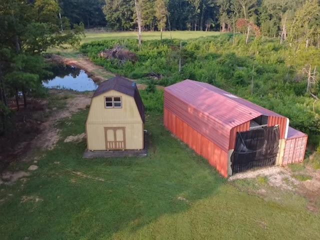Land for sale in Saulsbury, West Tennessee