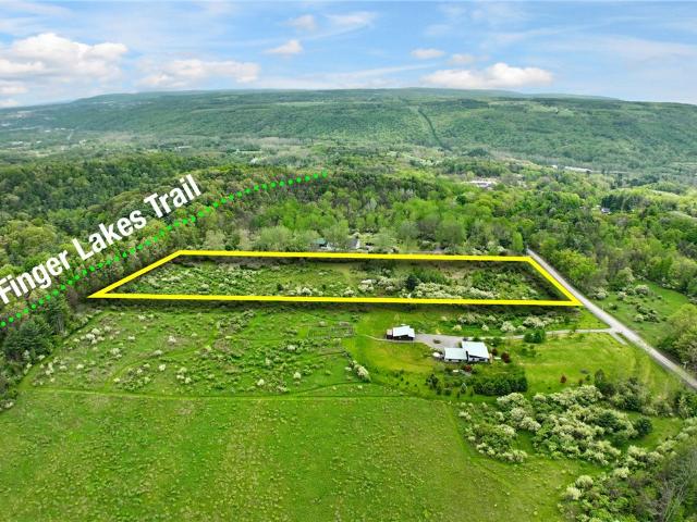 Land for sale in Newfield, New York