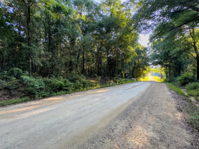 Land for sale in Walton, Florida