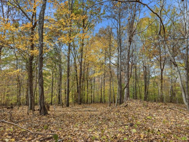 Farm for sale in Tennessee