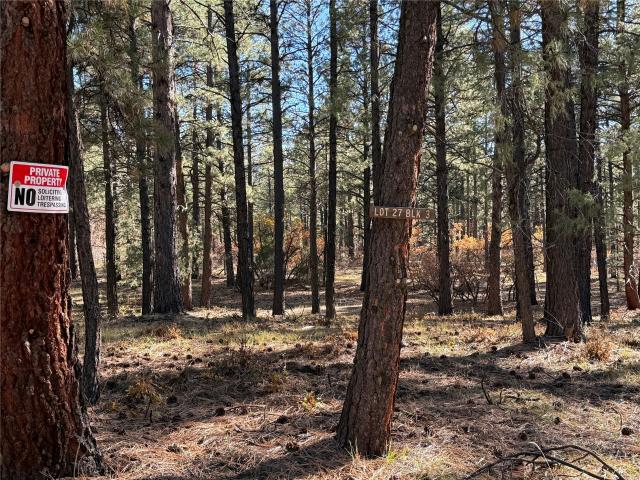 Land for sale in Chama, New Mexico