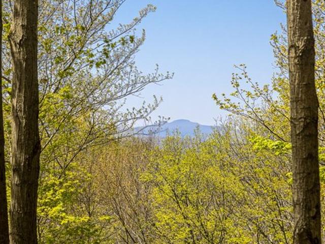 Land for sale in Millbrook, New York