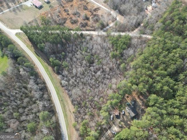 Land for sale in Carlton, Georgia