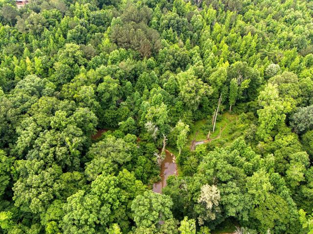 Land for sale in Lindale, Georgia