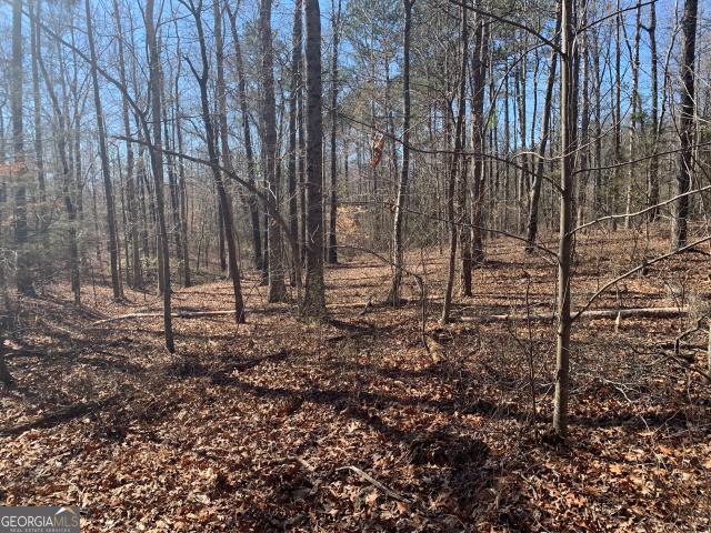 House for sale in Danielsville, Georgia