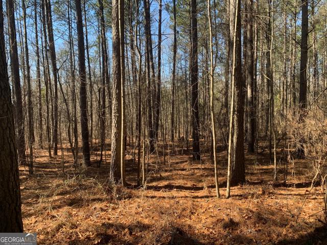 Land for sale in Danielsville, Georgia