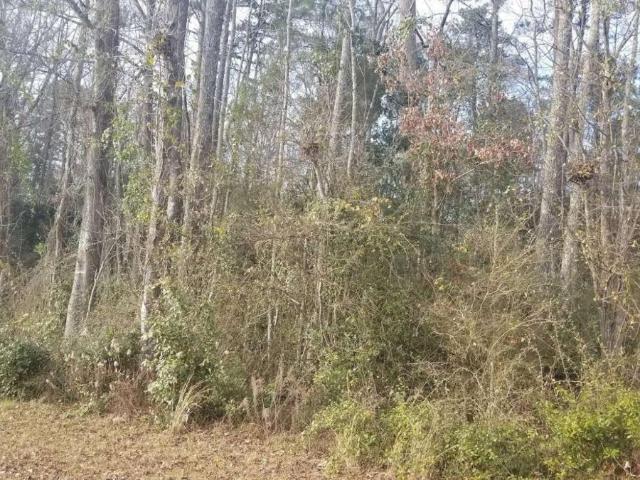 Land for sale in Upson, Georgia