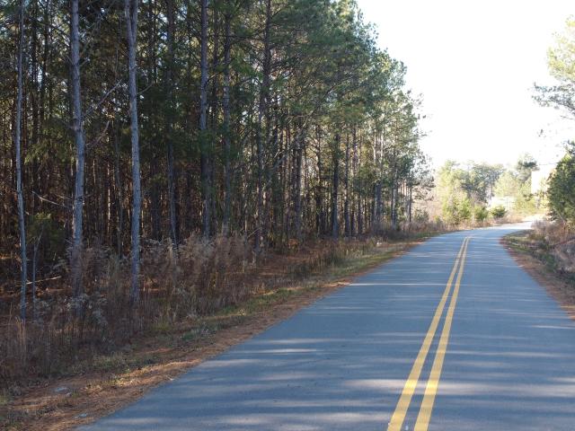 Commercial for sale in Cornelia, Georgia