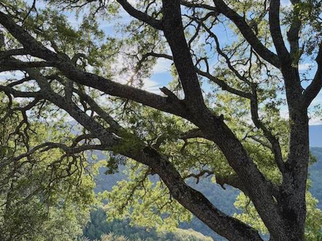 Land for sale in San Jose, California