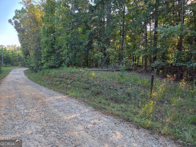 Land for sale in Flovilla, Butts County